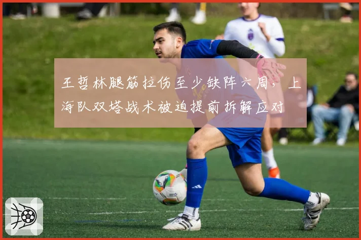 王哲林腿筋拉伤至少缺阵六周,上海队双塔战术被迫提前拆解应对