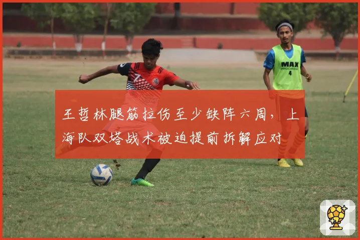 王哲林腿筋拉伤至少缺阵六周,上海队双塔战术被迫提前拆解应对